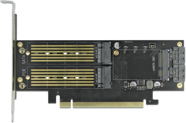 Delock PCI Express x16 Karte zu 1 x M.2 Key B + 1 x NVMe M.2 Key M + 1 x mSATA