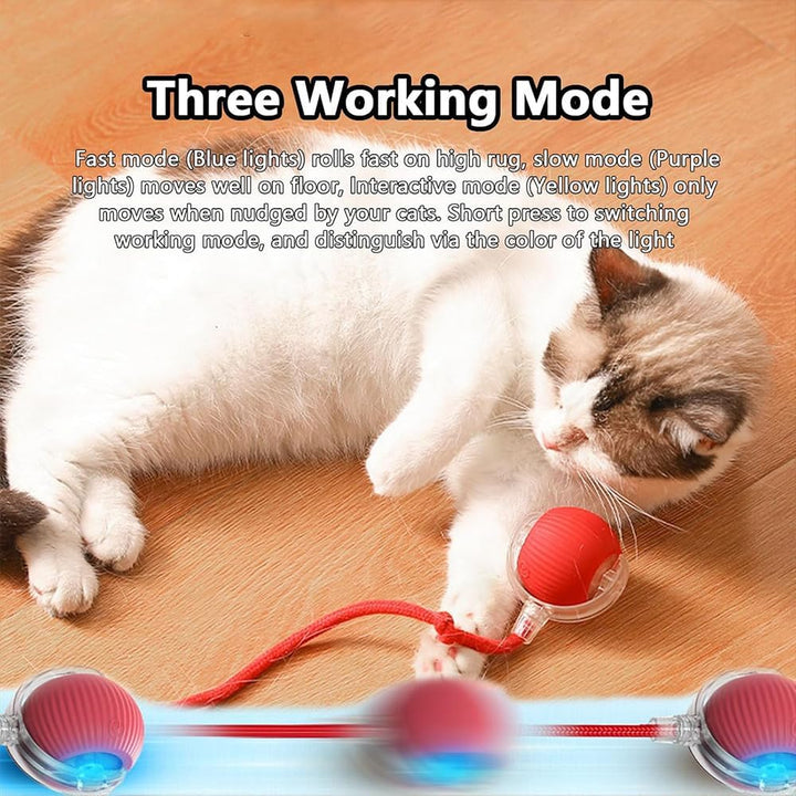 Interaktiver Spielball mit Schwanz für Katzen, 3 PCS Interaktiver Spielball für Katzen,Interaktiver