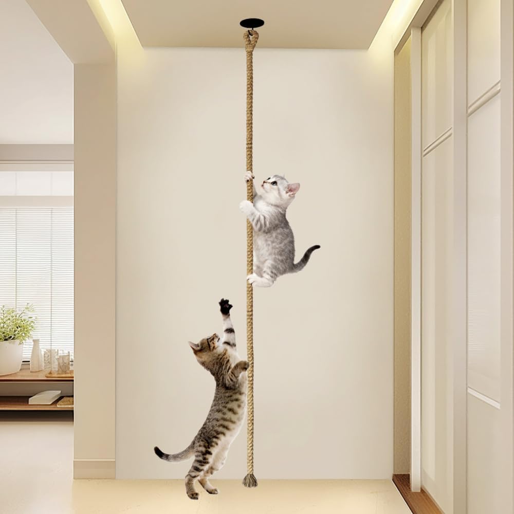 Sisal Kletterseil, Sisalseil fur Katzen, 300 x 3 cm, Stabiles Katzenspielzeug Seil zur Decken-/Wandm
