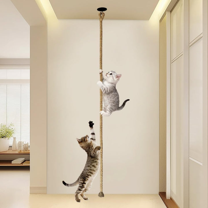 Sisal Kletterseil, Sisalseil fur Katzen, 300 x 3 cm, Stabiles Katzenspielzeug Seil zur Decken-/Wandm