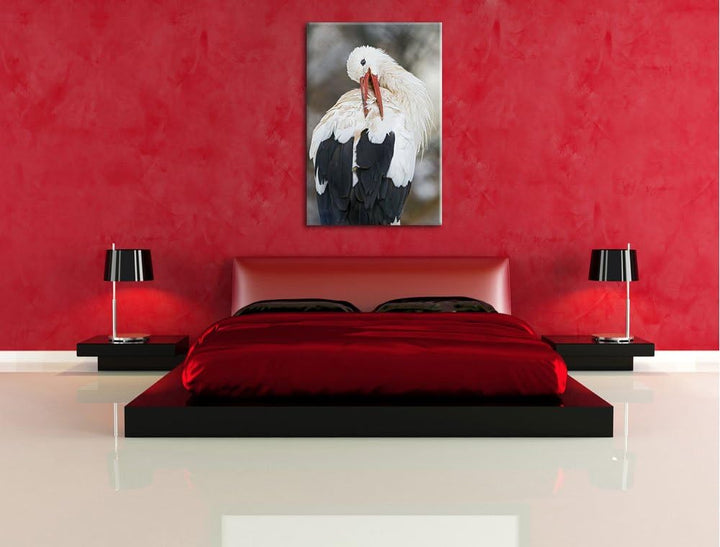 Pixxprint Storch putzt Sich auf Leinwand, XXL riesige Bilder fertig gerahmt mit Keilrahmen, Kunstdru