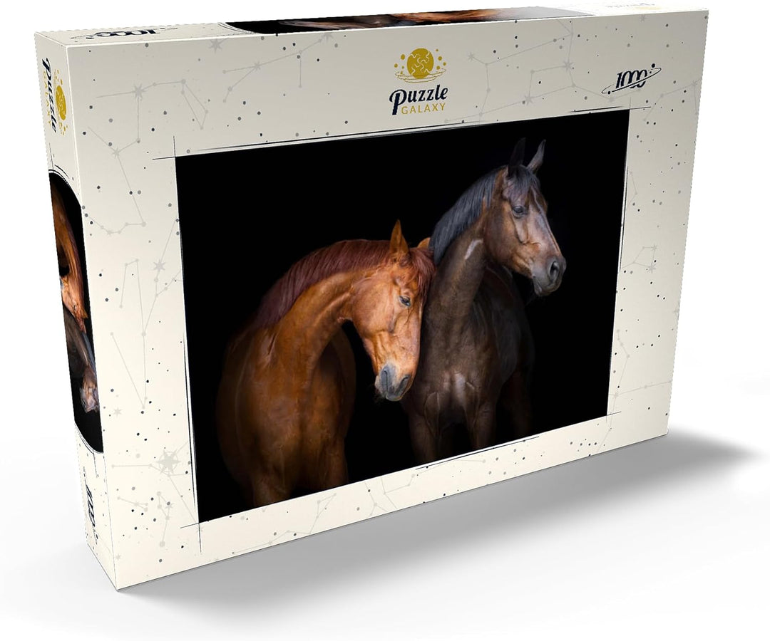 Zwei Pferde vor schwarzem Hintergrund - Premium 1000 Teile Puzzle - MyPuzzle Sonderkollektion von Pu