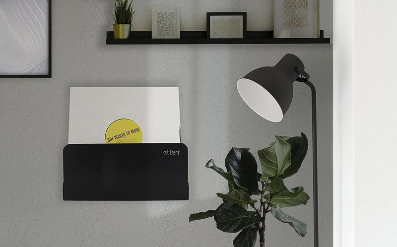 etterr | Doppelpack Vinyl Halter | für 50 Vinyls | 100% Stahl | Schallplatten Wandhalterung | Schall