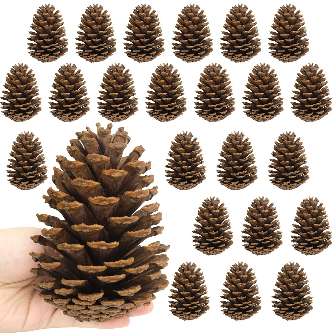 24 Stück Tannenzapfen Gross,11-14cm Kiefernzapfen,Zapfen zum Basteln für Weihnachtsbaum,Weihnachten,