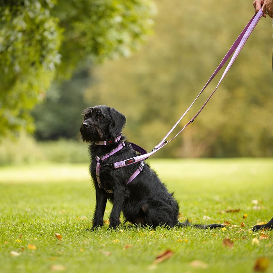 HALTI Walking Hundegeschirr – Mit weichem Neopren-gefüttertem Griff, 5 verstellbare Riemen und 3M-Re