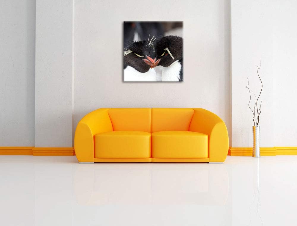 Pinguin Kuss, Format: 70x70 auf Leinwand, XXL riesige Bilder fertig gerahmt mit Keilrahmen, Kunstdru