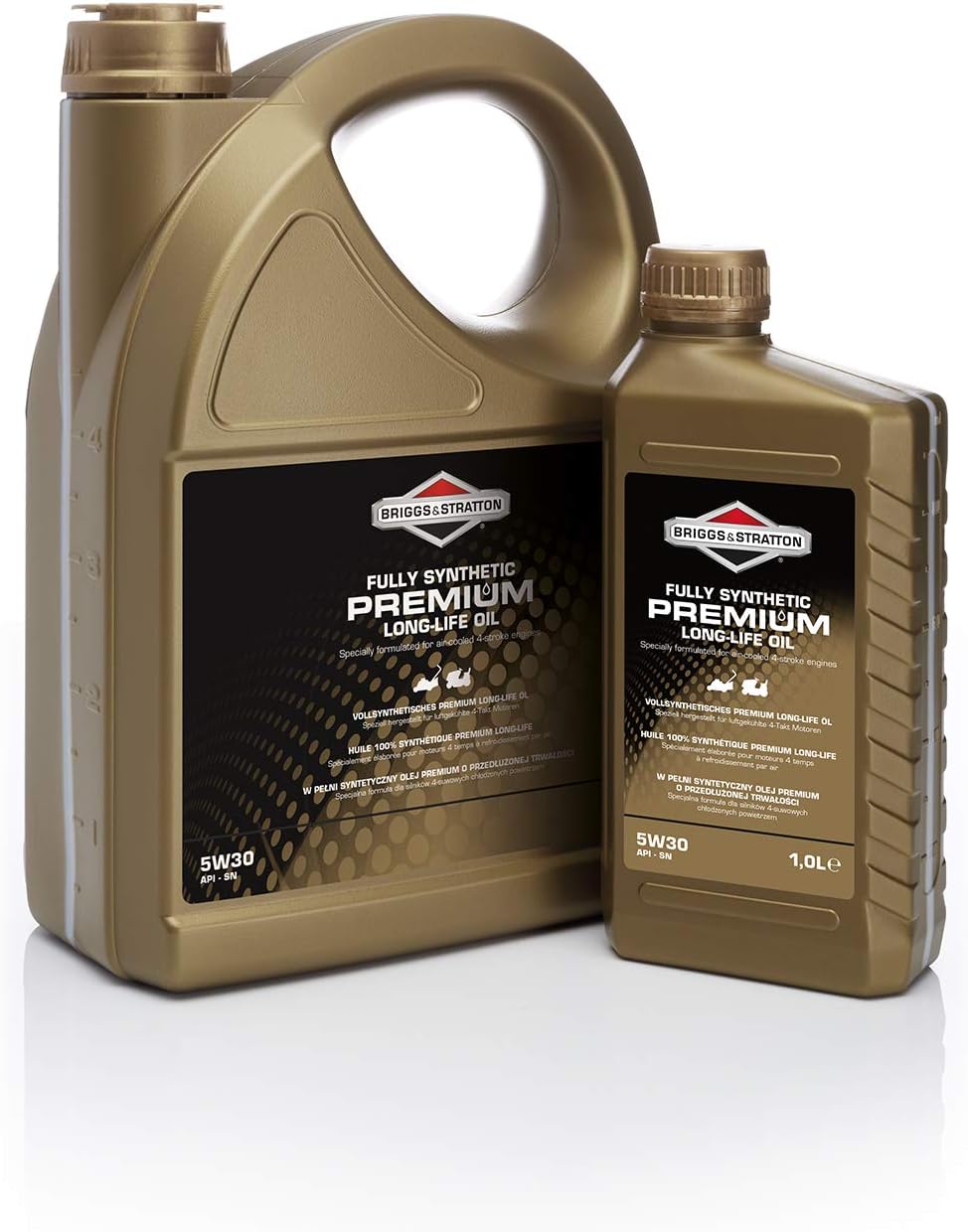 Briggs & Stratton 100009S Premium Öl, Schwarz, 5.0 Litre 5.0 Litre 5W30 Single, 5.0 Litre 5W30 Singl