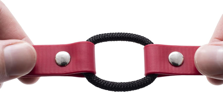 Educator Quick Snap Bungee-Halsband, 2,5 cm breit, 84,4 cm lang, Rot 1W x 33L rot, 1W x 33L rot