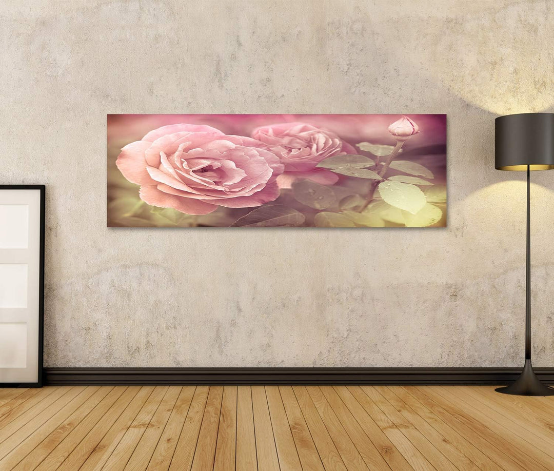 islandburner Bild auf Leinwand Abstrakt Pastel Rosa Rosen Mit Wassertropfen Bilder Wandbilder Poster