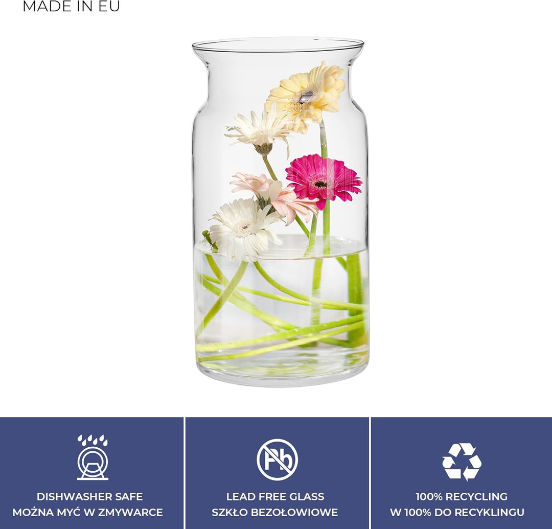 TREND FOR HOME Grosse Glasvase Hoch 29.5 cm Blumenvase Gross Bodenvase Glas Grosse Vase Amaryllis Va