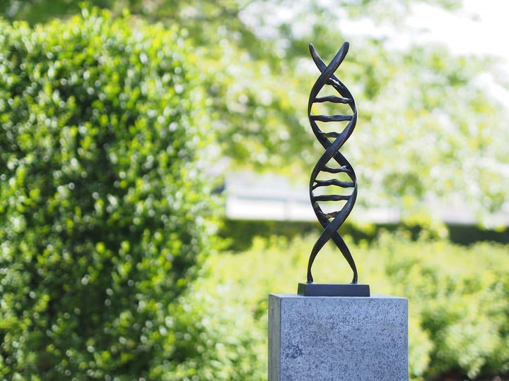 IDYL Bronze-Skulptur Moderen Figur DNA | 53 x 13 x 13 cm | Dekoration aus Bronze handgefertigt | Gar