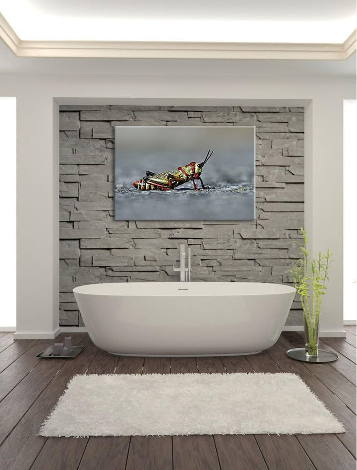 Pixxprint aussergewöhnliche Heuschrecke auf Leinwand, XXL riesige Bilder fertig gerahmt mit Keilrahm