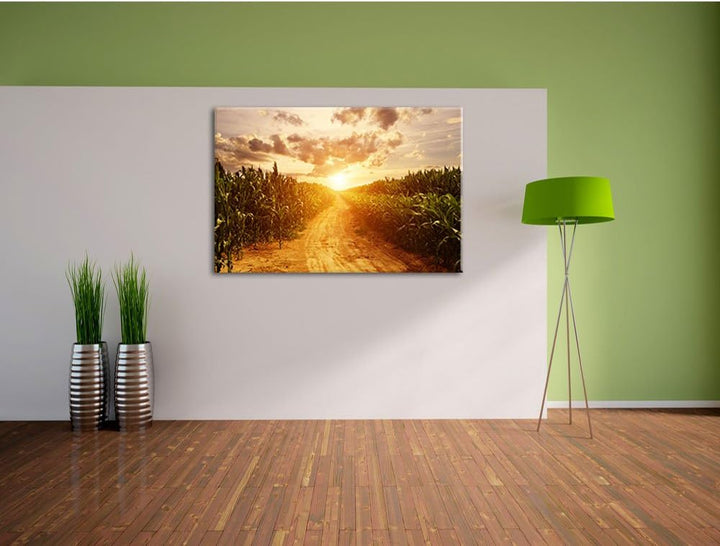 Pfad durch sonniges Feld, Format: 100x70 auf Leinwand, XXL riesige Bilder fertig gerahmt mit Keilrah