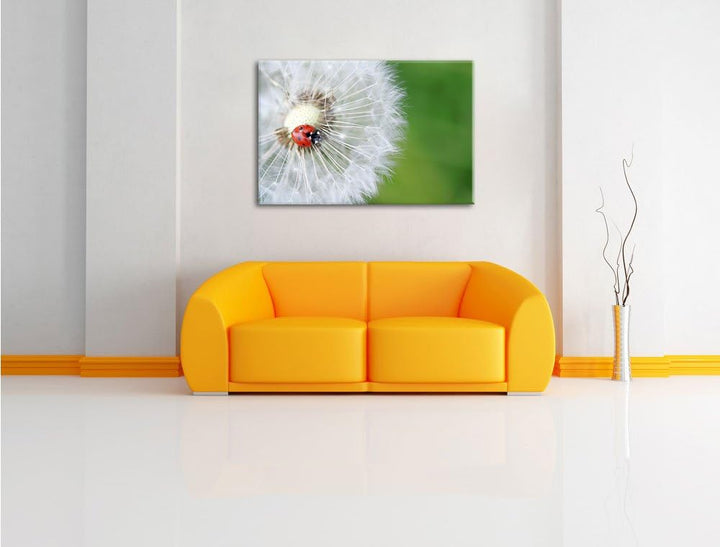 Pixxprint Marienkäfer auf einem Löwenzahn / 100x70cm Leinwandbild bespannt auf Holzrahmen/Wandbild K