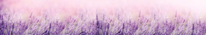DIMEX Küchenrückwand Folie Selbstklebend Lavendel 350 x 60 cm | Klebefolie - Dekofolie - Spritzschut