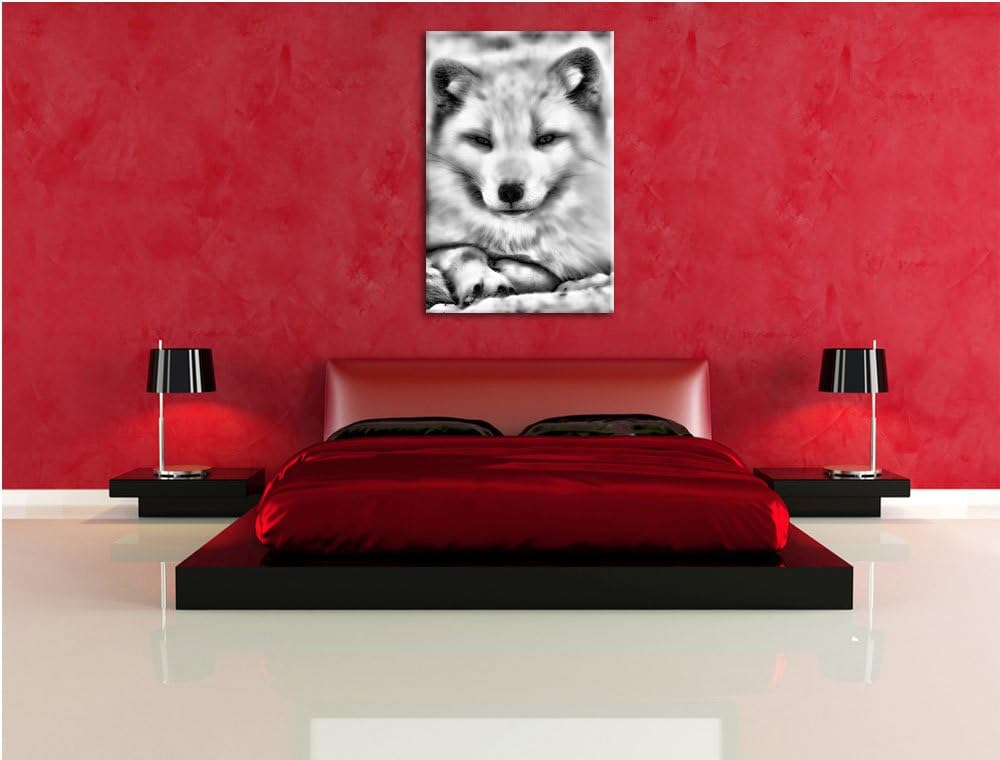 Monocrome, Weisser Fuchs, Format: 100x70 auf Leinwand, XXL riesige Bilder fertig gerahmt mit Keilrah