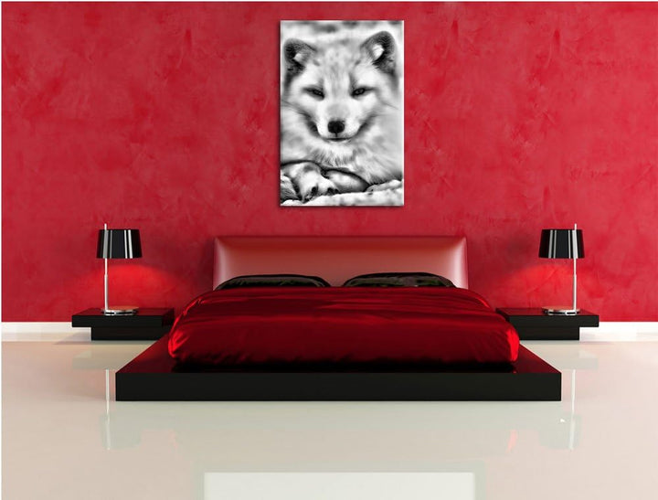 Monocrome, Weisser Fuchs, Format: 100x70 auf Leinwand, XXL riesige Bilder fertig gerahmt mit Keilrah