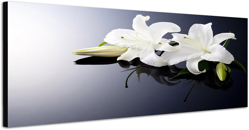 Paul Sinus Art Panoramabild auf Leinwand und Keilrahmen 150x50cm Lilien weiss Wasser Ruhe