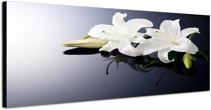 Paul Sinus Art Panoramabild auf Leinwand und Keilrahmen 150x50cm Lilien weiss Wasser Ruhe