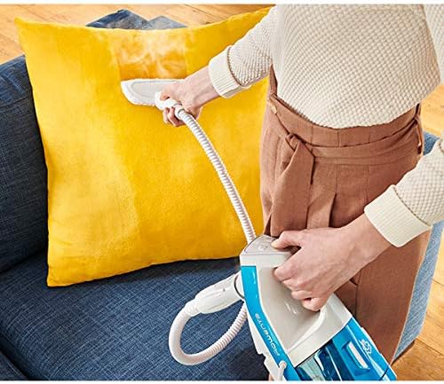 ROWENTA CLEAN & STEAM Multi, White, 6kg