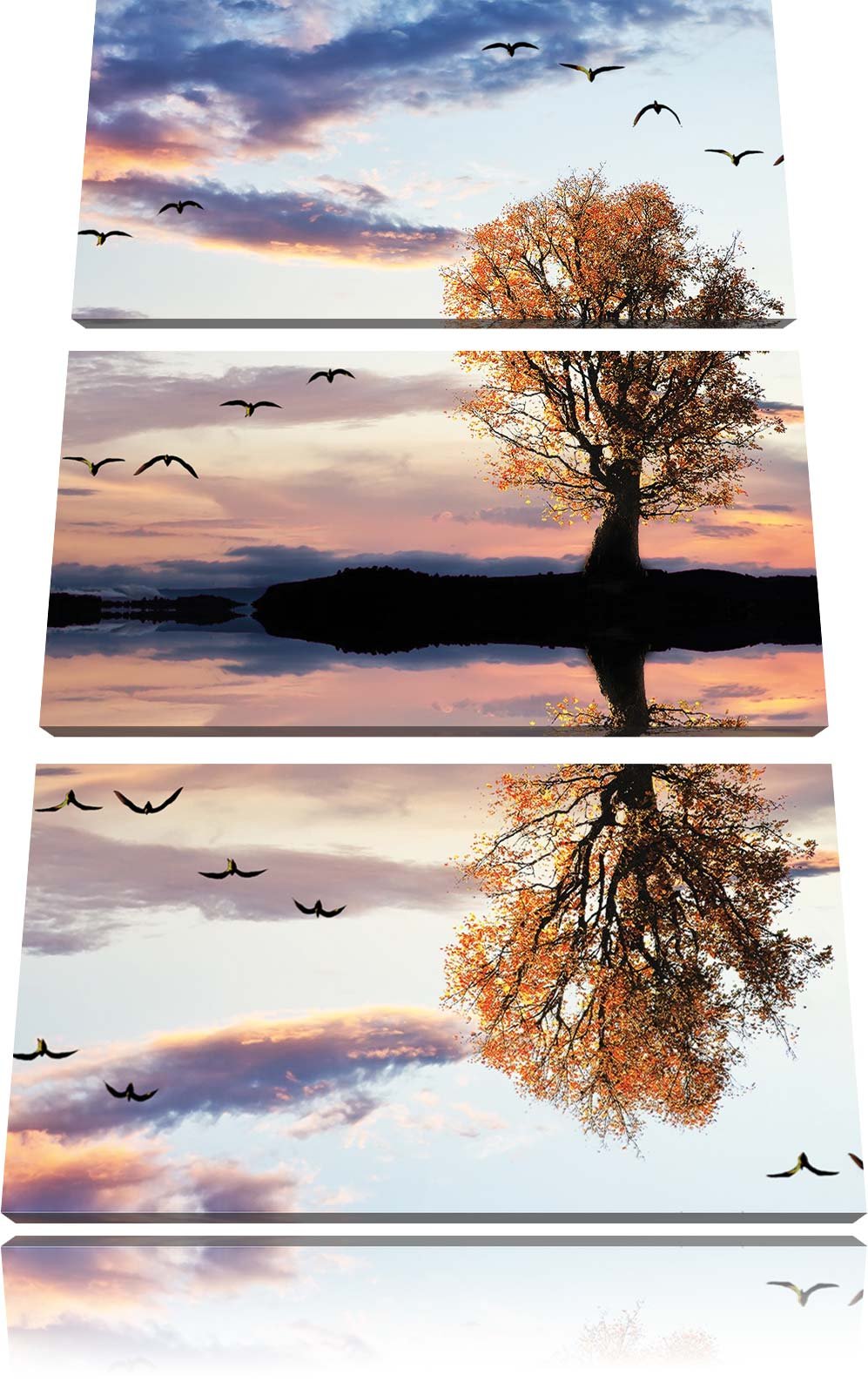 Pixxprint Baum spiegelt Sich im Wasser als Leinwandbild/Grösse: 3 Teilig (120x80) cm/Wandbild/Kunstd