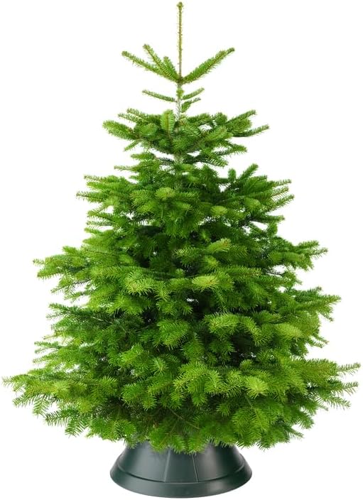 ELHO Weihnachtsbaumständer nordman, 39 cm, grün 39 CM Grün, 39 CM Grün