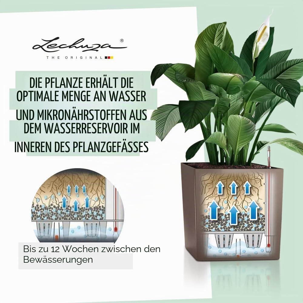 LECHUZA CUBE Premium 30 anthrazit metallic 16463 29.5x29.5x30 cm Anthrazit Metallic, 29.5x29.5x30 cm