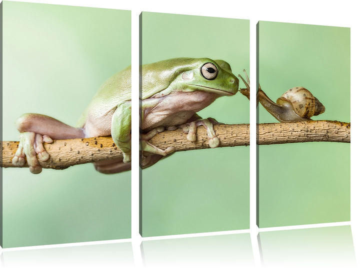 Pixxprint der Frosch und die Schnecke als Leinwandbild/Grösse: 3Teilig / Wandbild/Kunstdruck/fertig