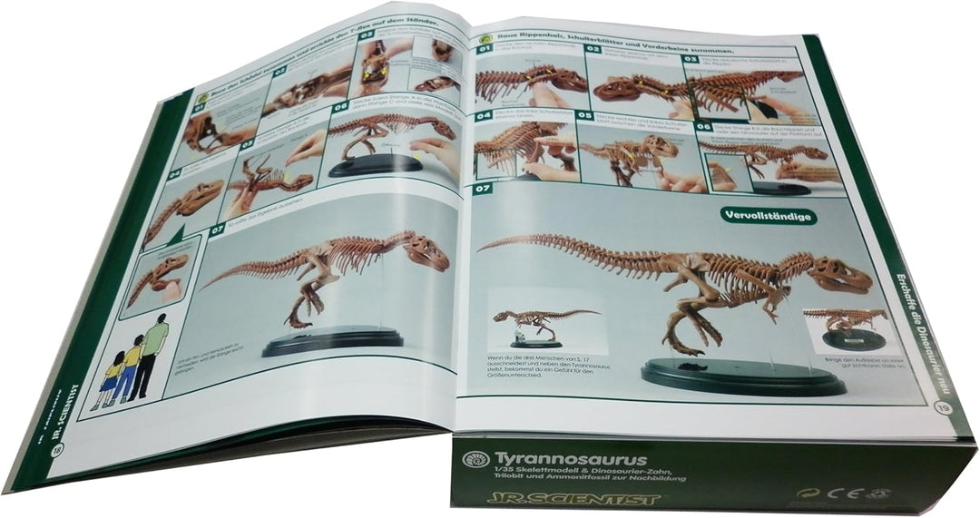EDU-TOYS Experimentier-Set Tyrannosaurus GK008 ab 8 Jahre