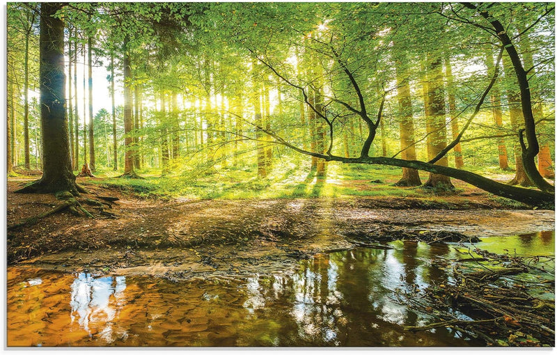 ARTLAND Küchenrückwand Glas mit Motiv Spritzschutz 80x50 cm Wald Natur Bäume Landschaft Sonne Sonnen