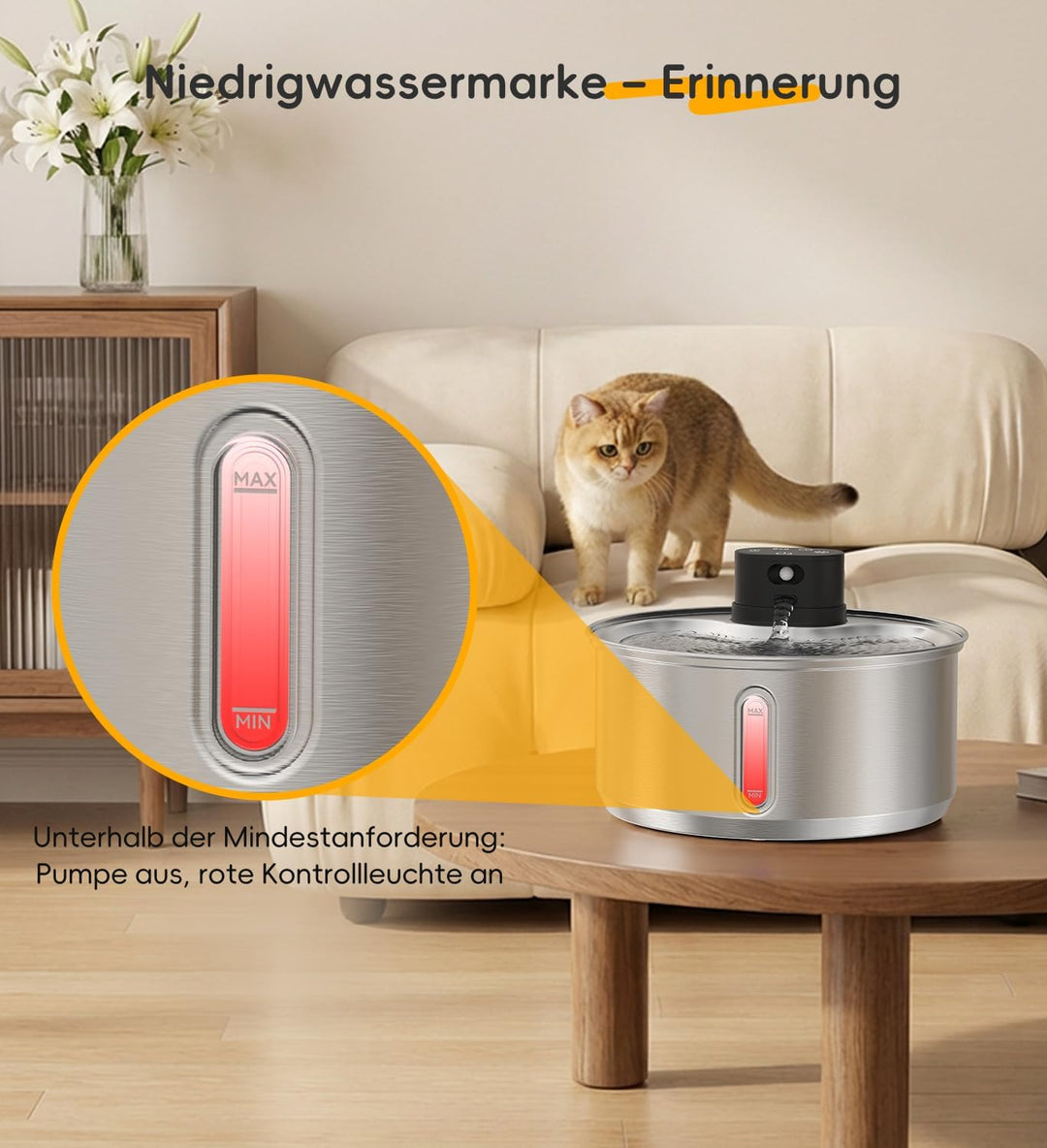 Katzenbrunnen Edelstahl, 5,5 L Trinkbrunnen für Katzen Kabellos, 5000mAh Akku Hunde mit bewegungsmel