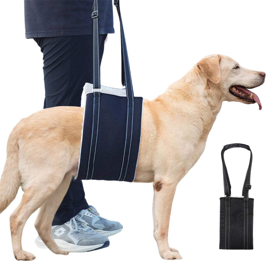 Hunde Tragehilfe, Verstellbare Gehhilfe für Hunde, Hundegeschirr mit Gehhilfe, Hinten Lift Support G