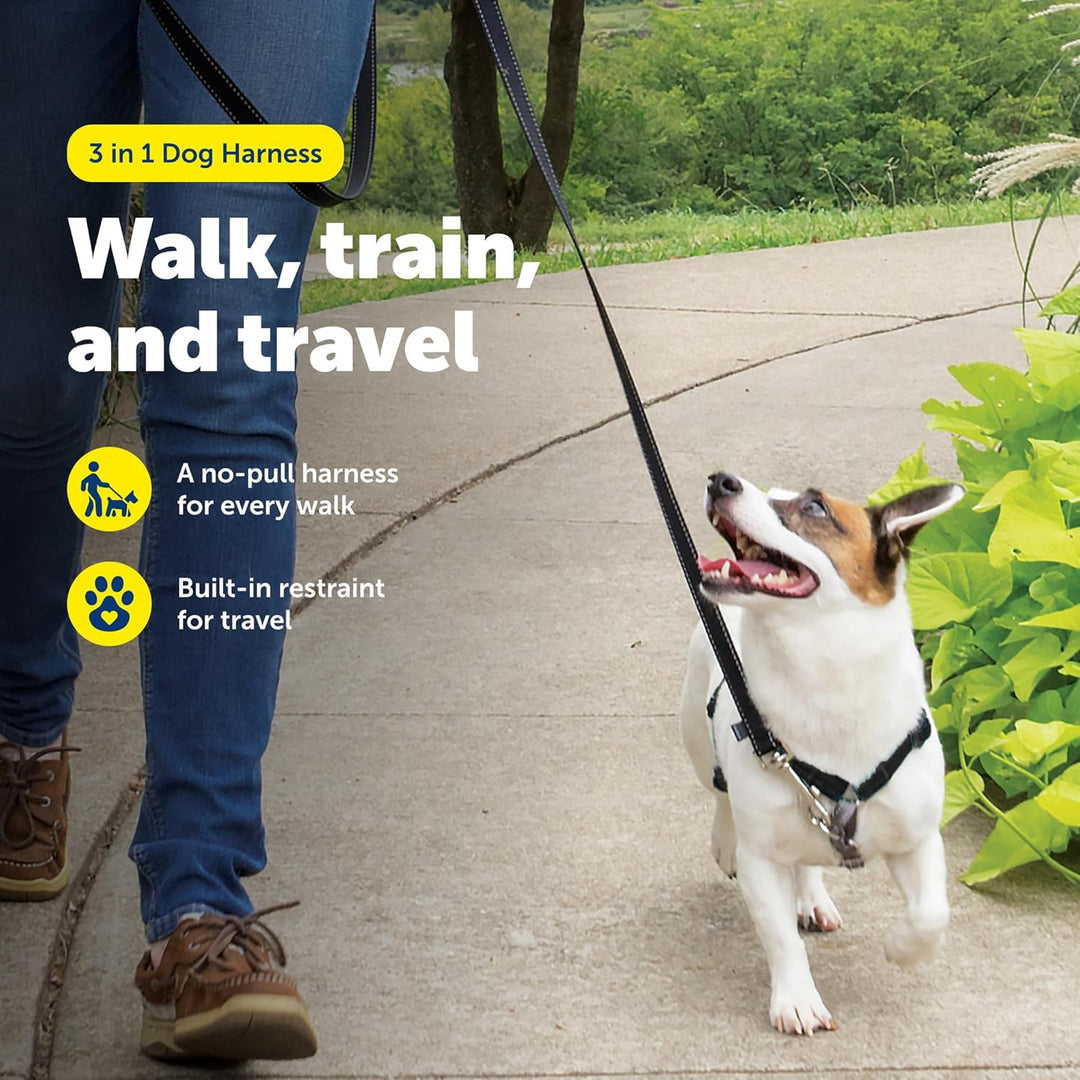 PetSafe 3in1 Harness, from The Makers of The Easy Walk Harness, Fully Adjustable No-Pull Dog Harness