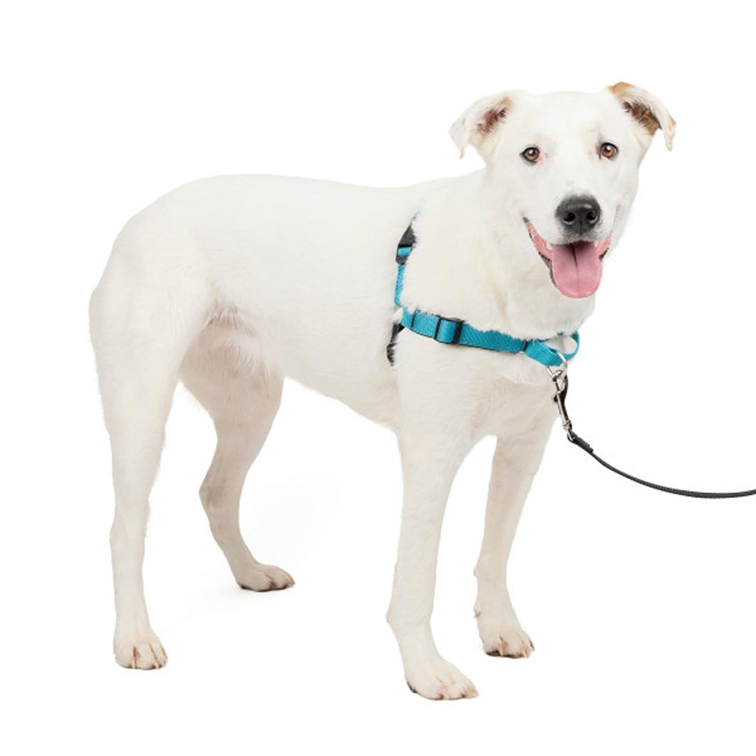 PetSafe Easy Walk Deluxe Geschirr, Gehgeschirr ohne Zug für Hunde, gepolstertes Design, inkl. 1,8 m