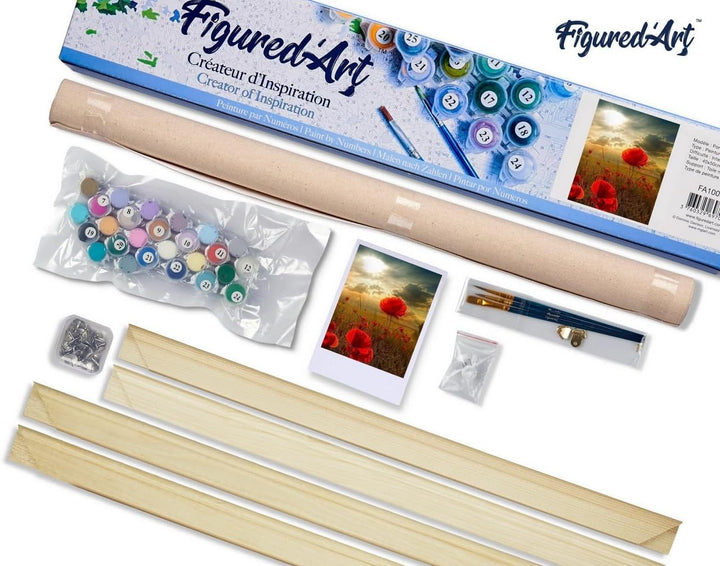 Figured'Art Malen Nach Zahlen Erwachsene Mit Rahmen Blumen unter der Sonne - Paint by Numbers Bastel