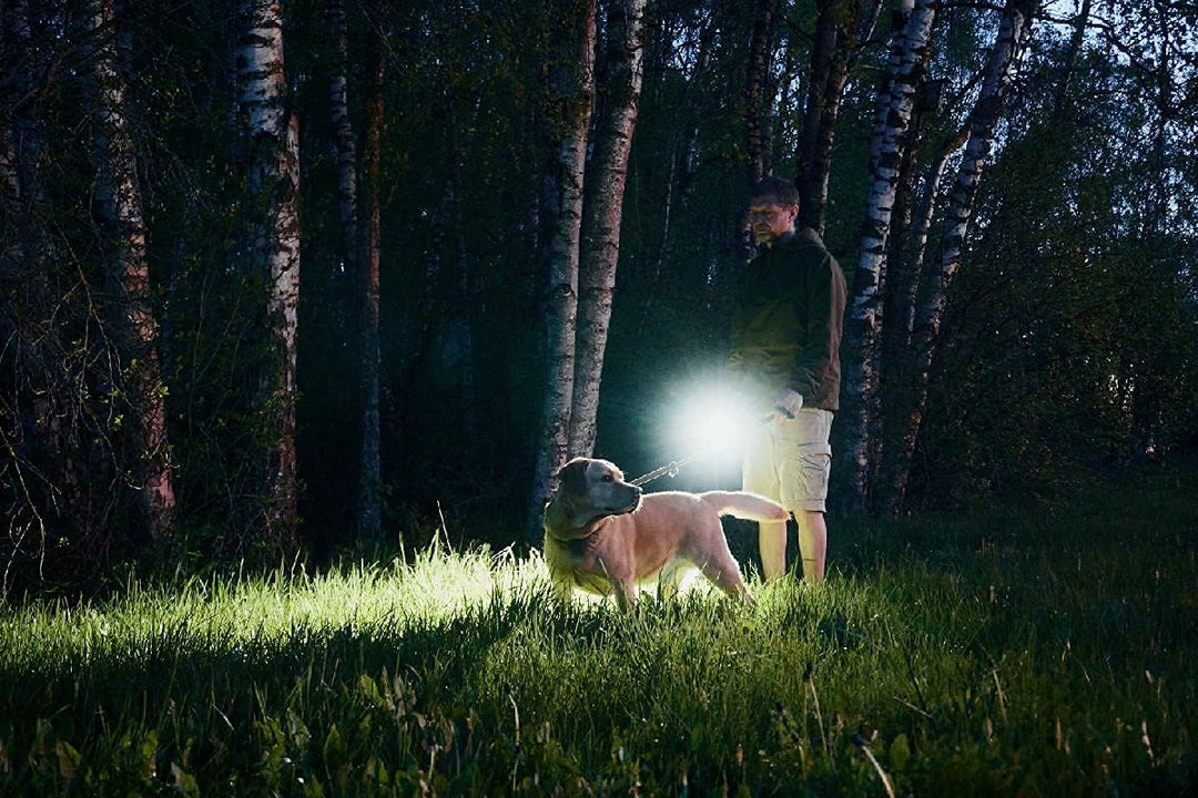 Armytek NEU LED-Lampe Prime C2 Pro Kaltweiss 2400 LED Lumen Magnet USB Aufladbar Täglich Handlampe
