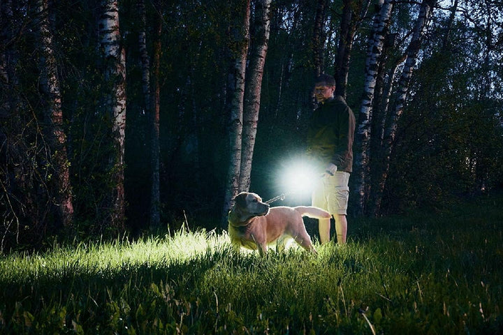 Armytek NEU LED-Lampe Prime C2 Pro Kaltweiss 2400 LED Lumen Magnet USB Aufladbar Täglich Handlampe
