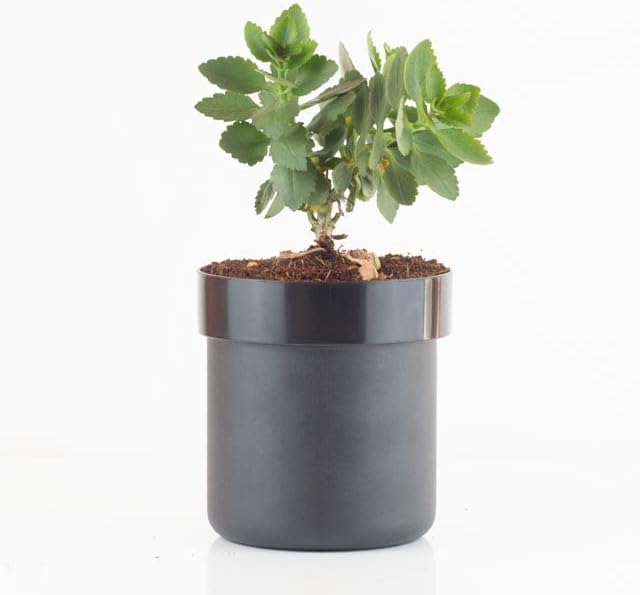 Castell Deco - Safe in Form eines Blumentopfs, Tarnung mit Schlüssel, 3 Farben, getarnter Safe, geld