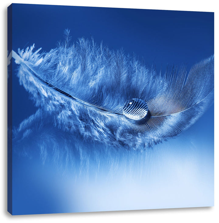 Wassertropfen auf Feder, Format: 70x70 auf Leinwand, XXL riesige Bilder fertig gerahmt mit Keilrahme