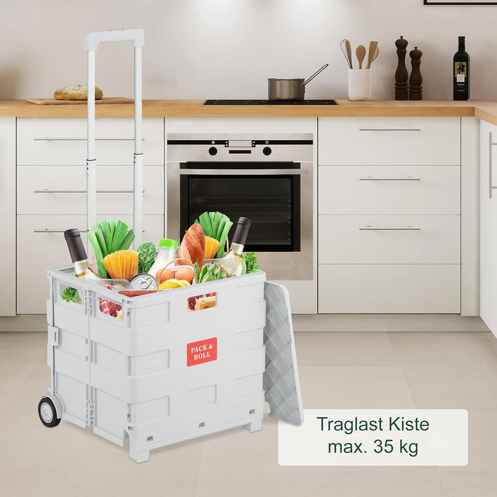 Relaxdays Einkaufstrolley, klappbar, Einkaufskorb mit Rollen, mit Deckel & Teleskopgriff, bis 35 kg,