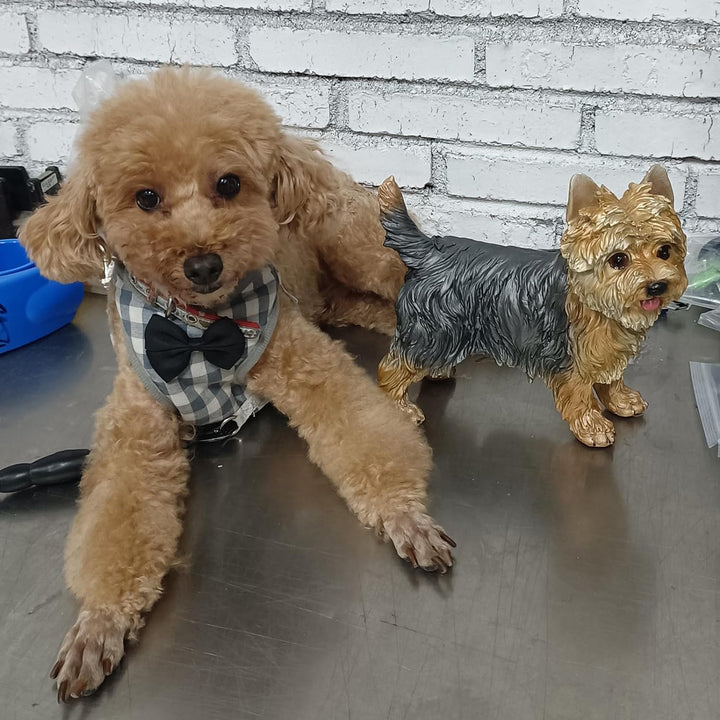WANLIAN Yorkshire Terrier Statue,handbemalte Figur geeignet für den Innen,und Aussenbereich,frostbes