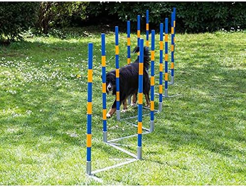 Procyon Dog Agility Profi Alu Slalom