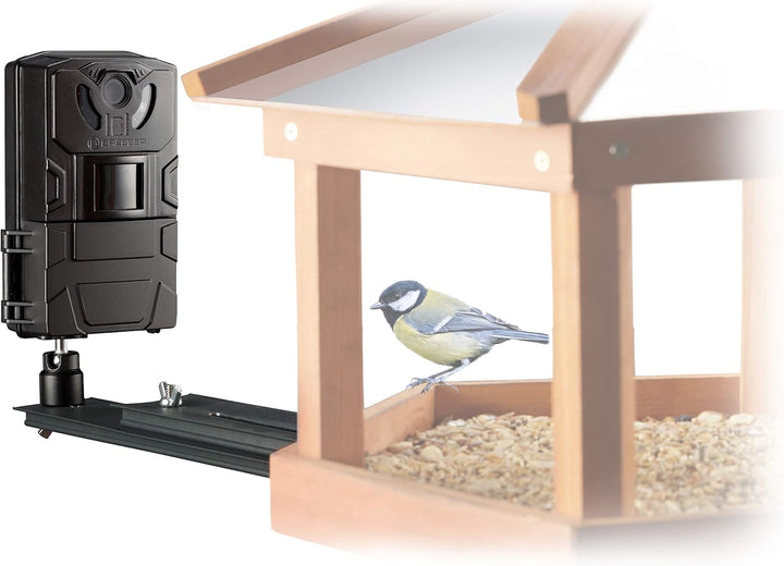 Bresser Vogel Kleintier-Kamera SFC-1 Überwachungskamera für heimische Vögel oder andere Kleintiere m