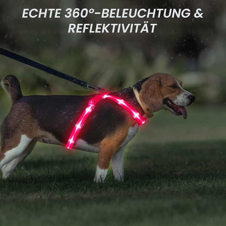 LED Hundegeschirr Leuchtend für Hunde, Leuchtgeschirr Hundeweste Wiederaufladbar Rosa Gross, Rosa Gr