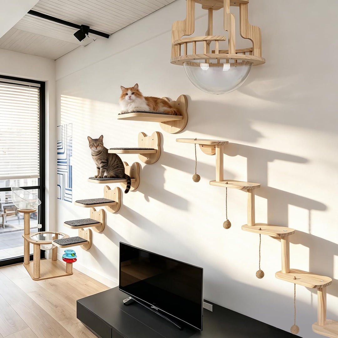 Katzenwand mit Katzentreppe &amp; Hängendem Spielball, 2 in 1 | Kratzbaum, 5 Ebenen Katzenkletterwand, M