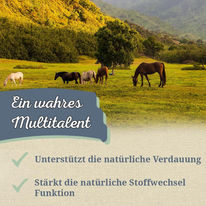 Krauterie Ceylon Zimt Pulver für Pferde in Spitzenqualität (1000 g) - Artgerechtes Einzelfuttermitte