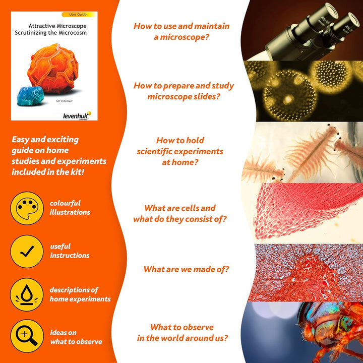 Levenhuk LabZZ M101 Orange/Orange 40X-640X Einsteigermikroskop für Kinder mit pädagogischem Wissensc