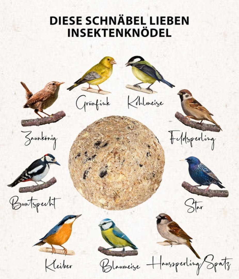 Dehner Natura Premium Meisenknödel ohne Netz, Insektenknödel, ganzjähriges Wildvogelfutter proteinre