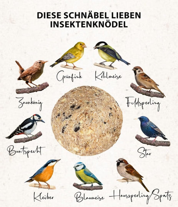Dehner Natura Premium Meisenknödel ohne Netz, Insektenknödel, ganzjähriges Wildvogelfutter proteinre