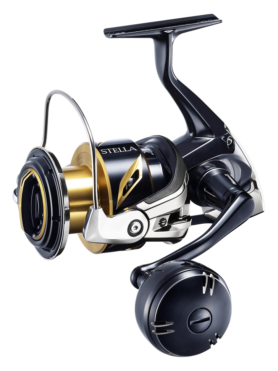 Reel Stella SW C 6000 PG